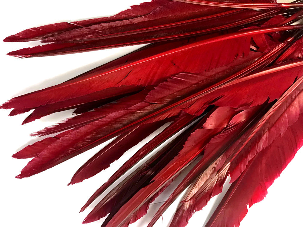 10 Pieces - Burgundy Goose Pointers Long Primaries Wing Feathers