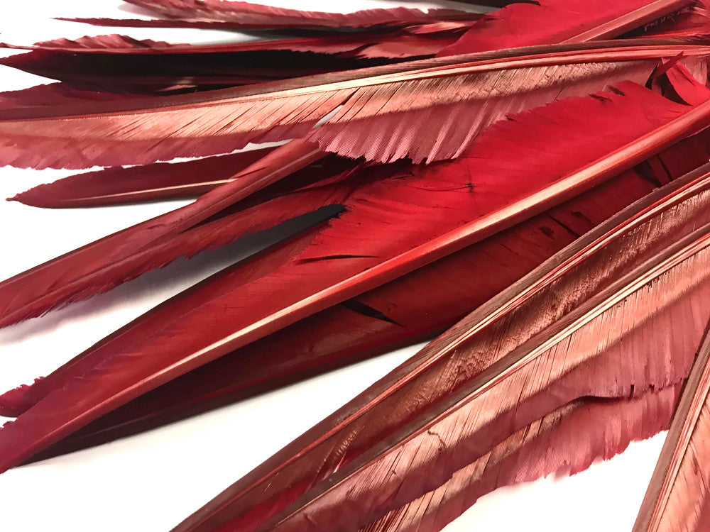 10 Pieces - Burgundy Goose Pointers Long Primaries Wing Feathers