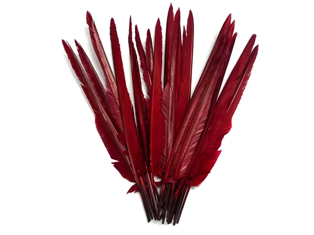 Vibrant deep red feathers for DIY crafts, fashion accessories, and decorative art projects.