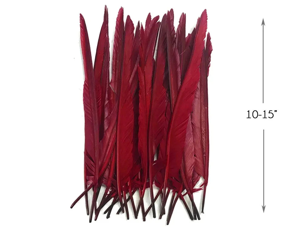 Bundle of long red feathers for crafts and fashion, 10-15 inches in length.