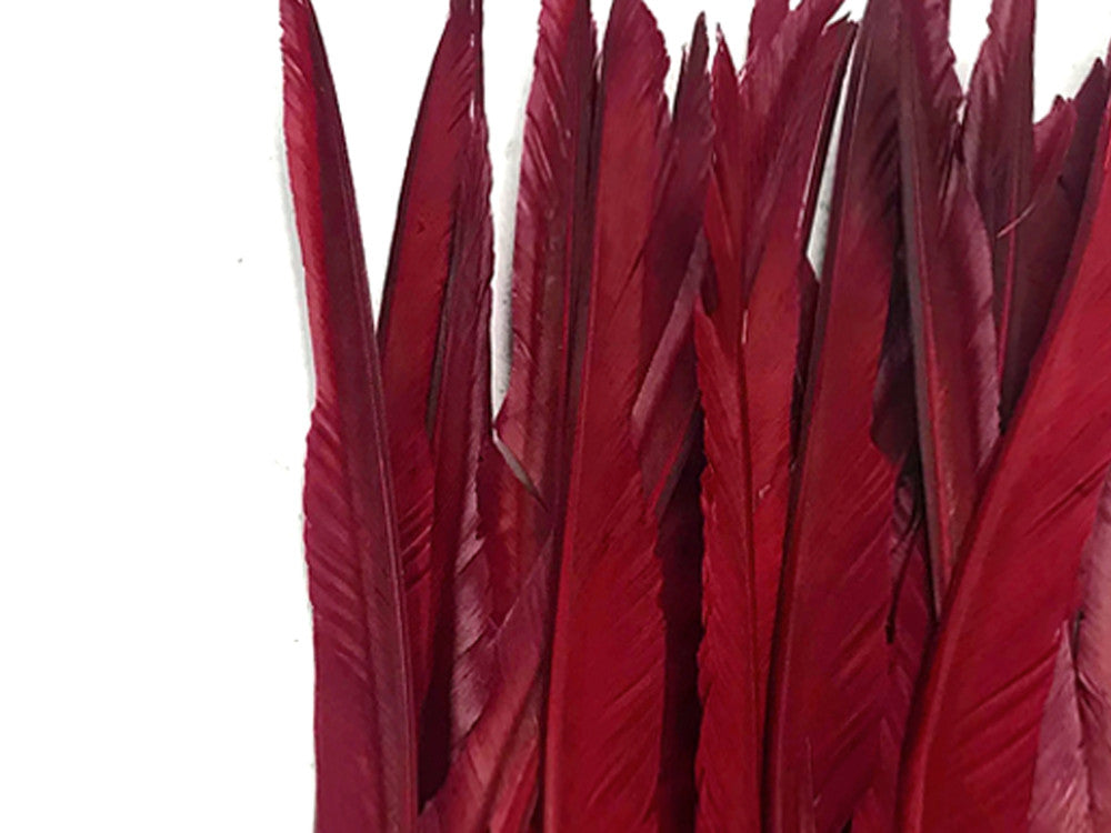 10 Pieces - Burgundy Goose Pointers Long Primaries Wing Feathers