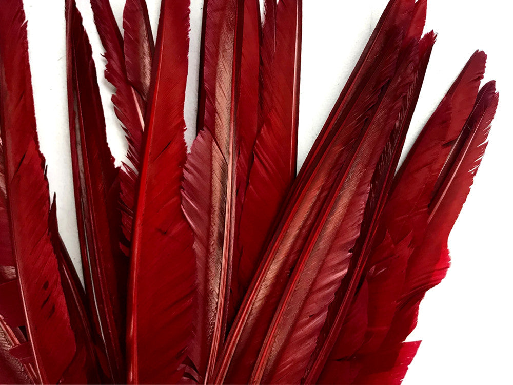 10 Pieces - Burgundy Goose Pointers Long Primaries Wing Feathers