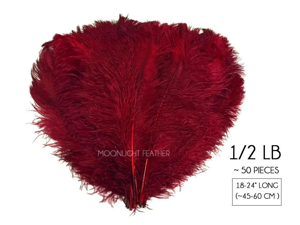 Deep red ostrich feathers for crafts and fashion decor, 50 piece pack, 18-24 inches long.