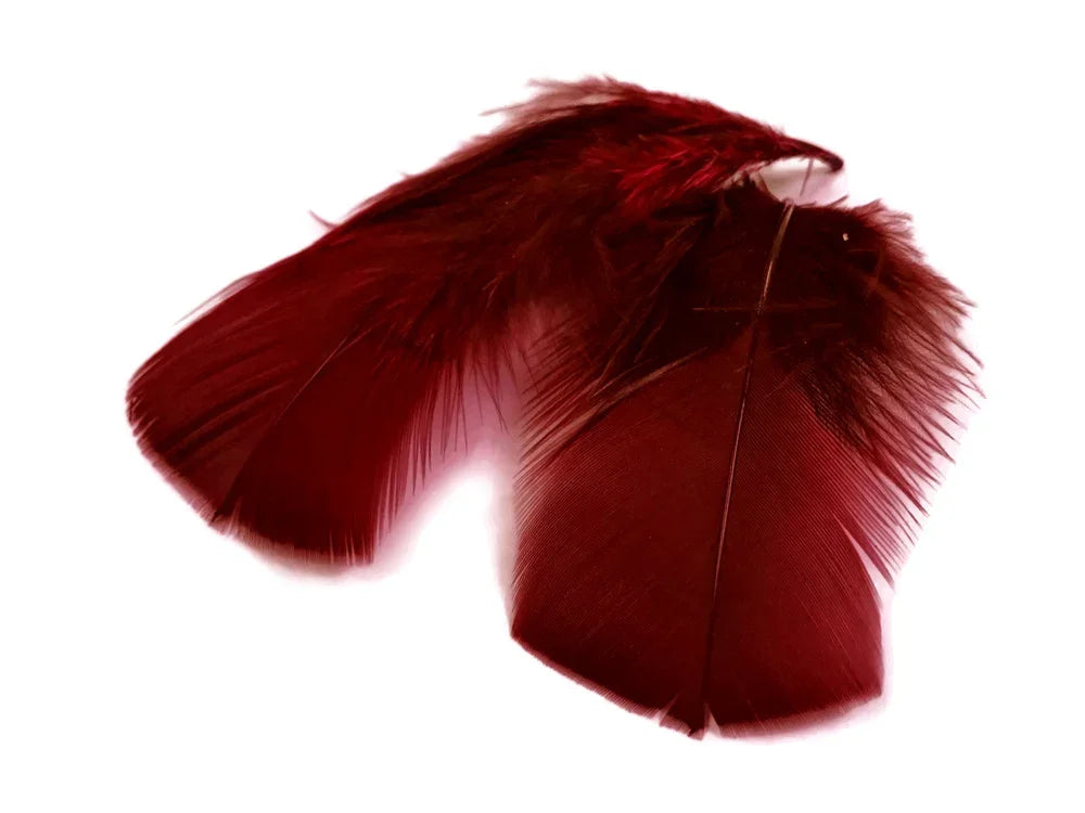 Deep burgundy red feathers for craft and fashion DIY supplies on a white background.