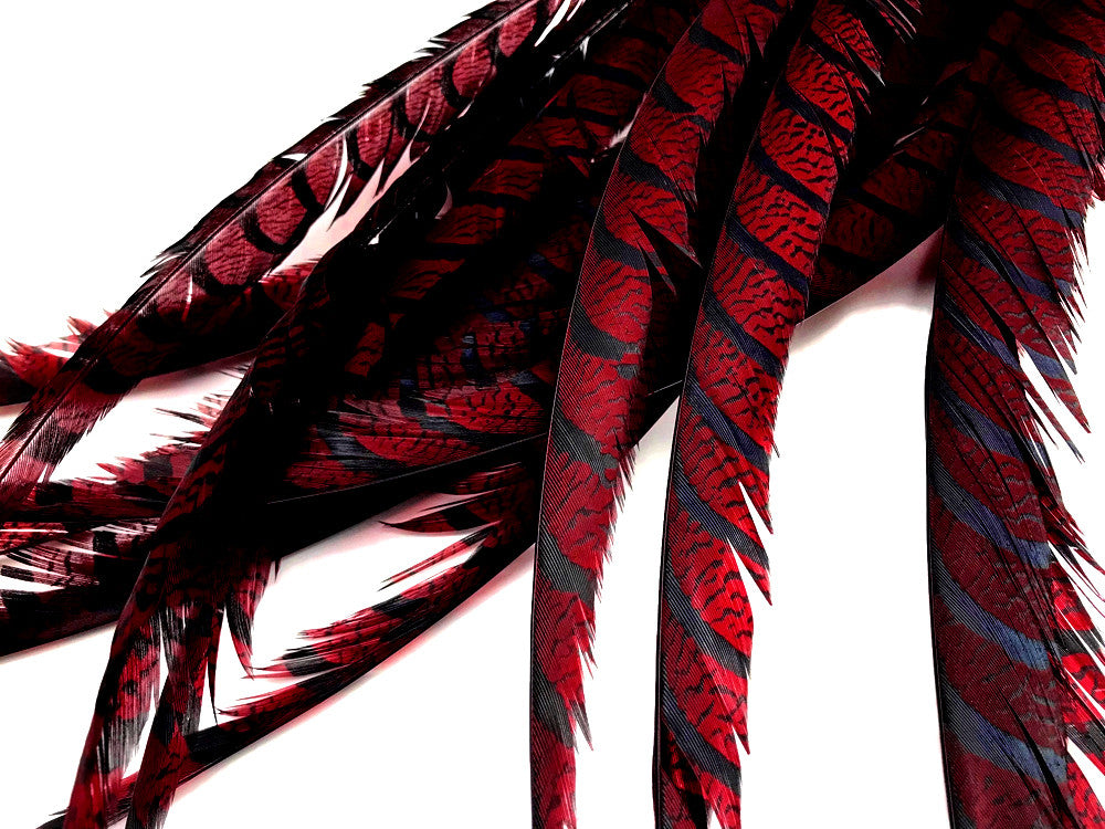 5 Pieces - 30-35" Burgundy Zebra Lady Amherst Pheasant Tail Super Long Feathers