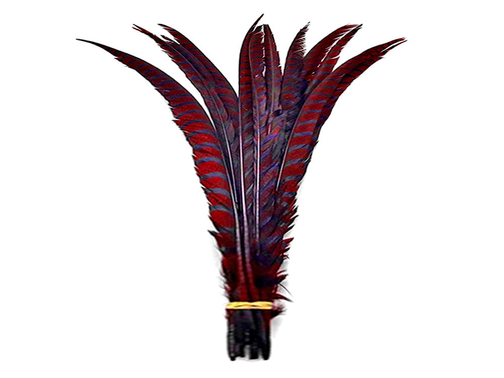 5 Pieces - 30-35" Burgundy Zebra Lady Amherst Pheasant Tail Super Long Feathers