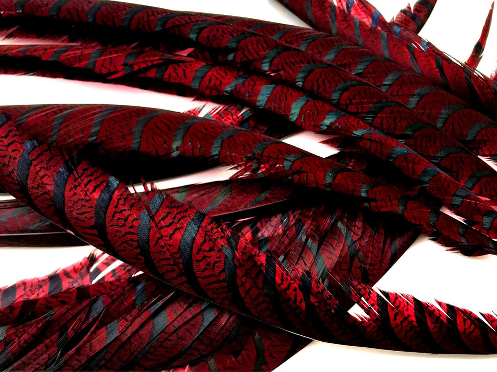 5 Pieces - 30-35" Burgundy Zebra Lady Amherst Pheasant Tail Super Long Feathers