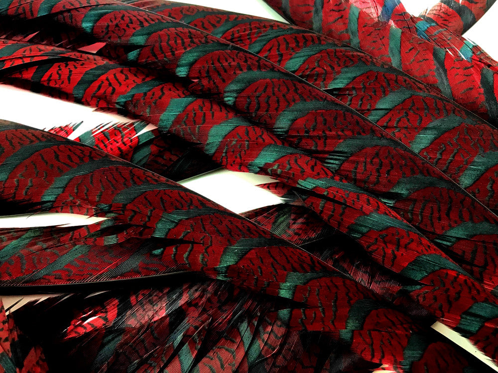 5 Pieces - 30-35" Burgundy Zebra Lady Amherst Pheasant Tail Super Long Feathers