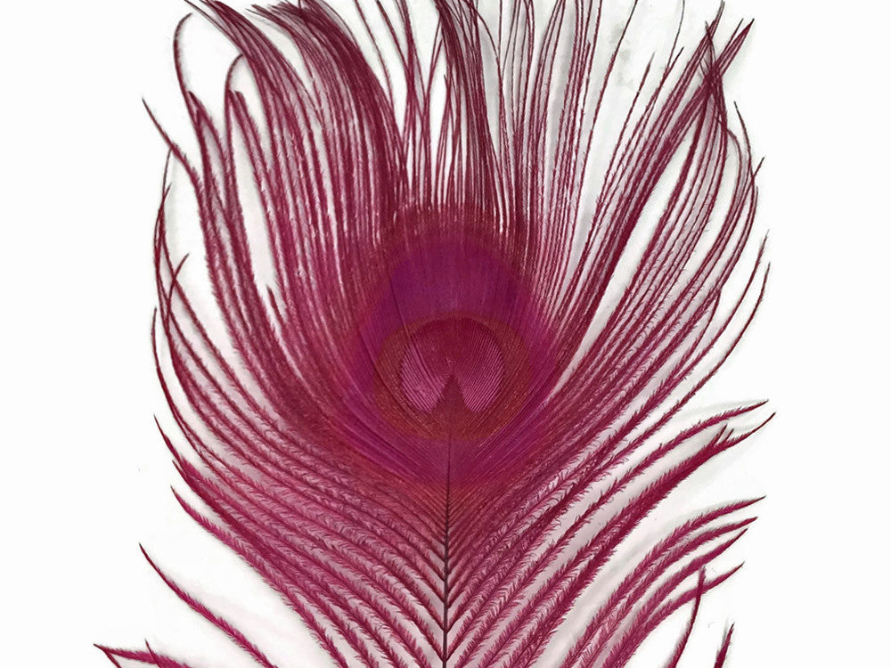 5 Pieces – Burgundy Bleached & Dyed Peacock Tail Eye Feathers 10-12” Long