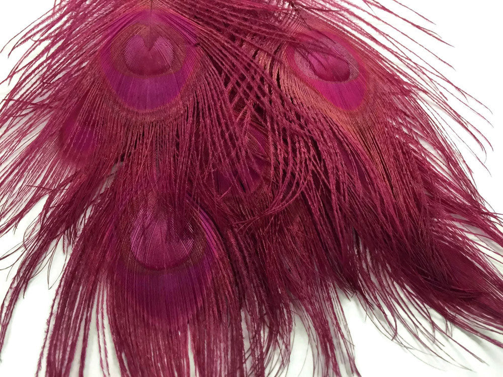 5 Pieces – Burgundy Bleached & Dyed Peacock Tail Eye Feathers 10-12” Long