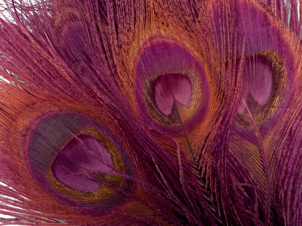 50 Pieces – Burgundy Bleached & Dyed Peacock Tail Eye Wholesale Feathers (Bulk) 10-12” Long