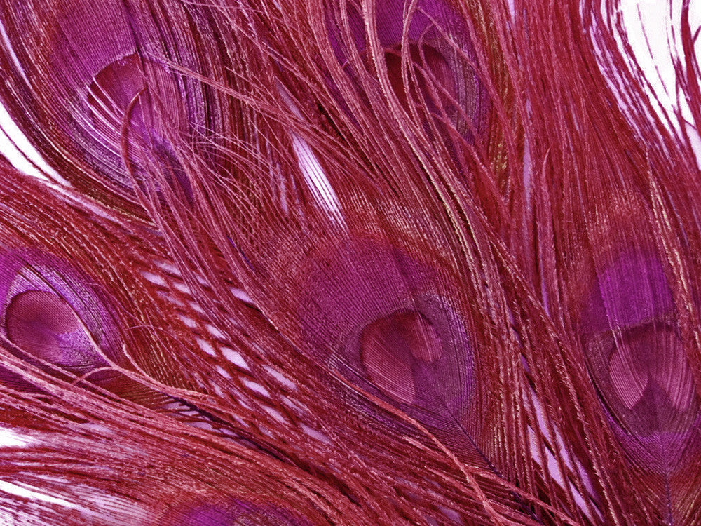 5 Pieces – Burgundy Bleached & Dyed Peacock Tail Eye Feathers 10-12” Long