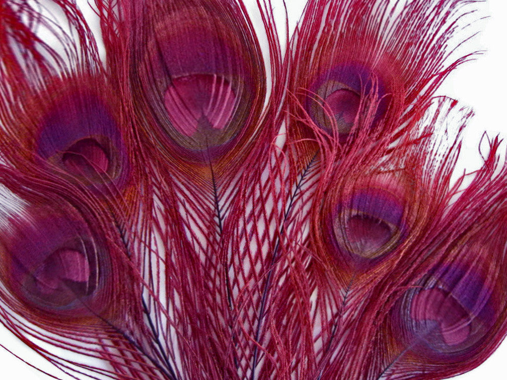 5 Pieces – Burgundy Bleached & Dyed Peacock Tail Eye Feathers 10-12” Long