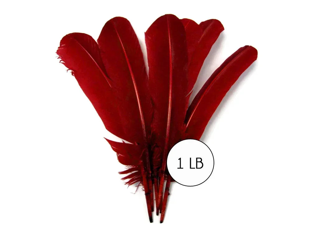 One pound of vibrant deep red craft feathers for DIY fashion and decor.