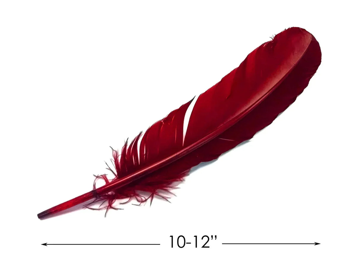 Deep red craft feather, 10-12 inches long, for DIY fashion and decor projects.