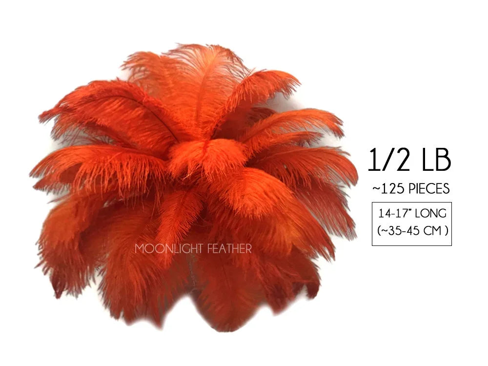 Bundle of 125 bright orange ostrich feathers, 14-17 inches long, weighing 1/2 lb.