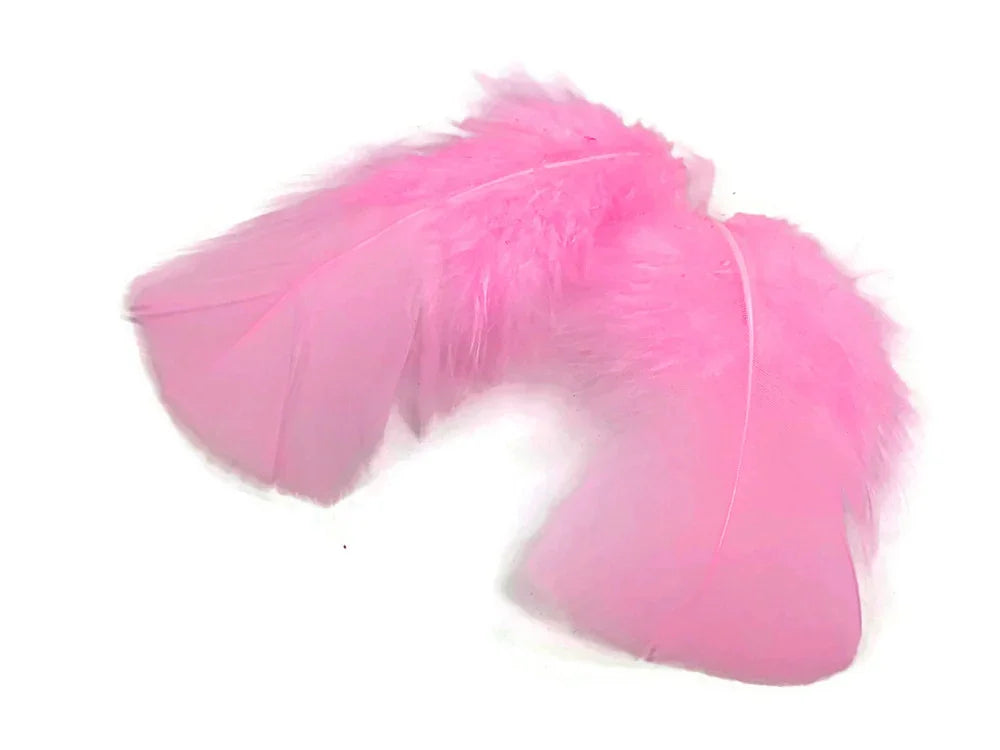 Two soft pink decorative feathers for crafts and DIY fashion accessories.