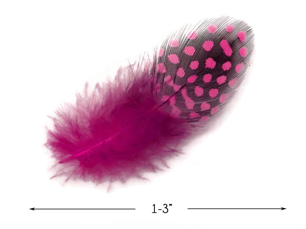 1/4 Lb - Candy Pink Guinea Hen Plumage Polka Dot Feathers Wholesale (Bulk)