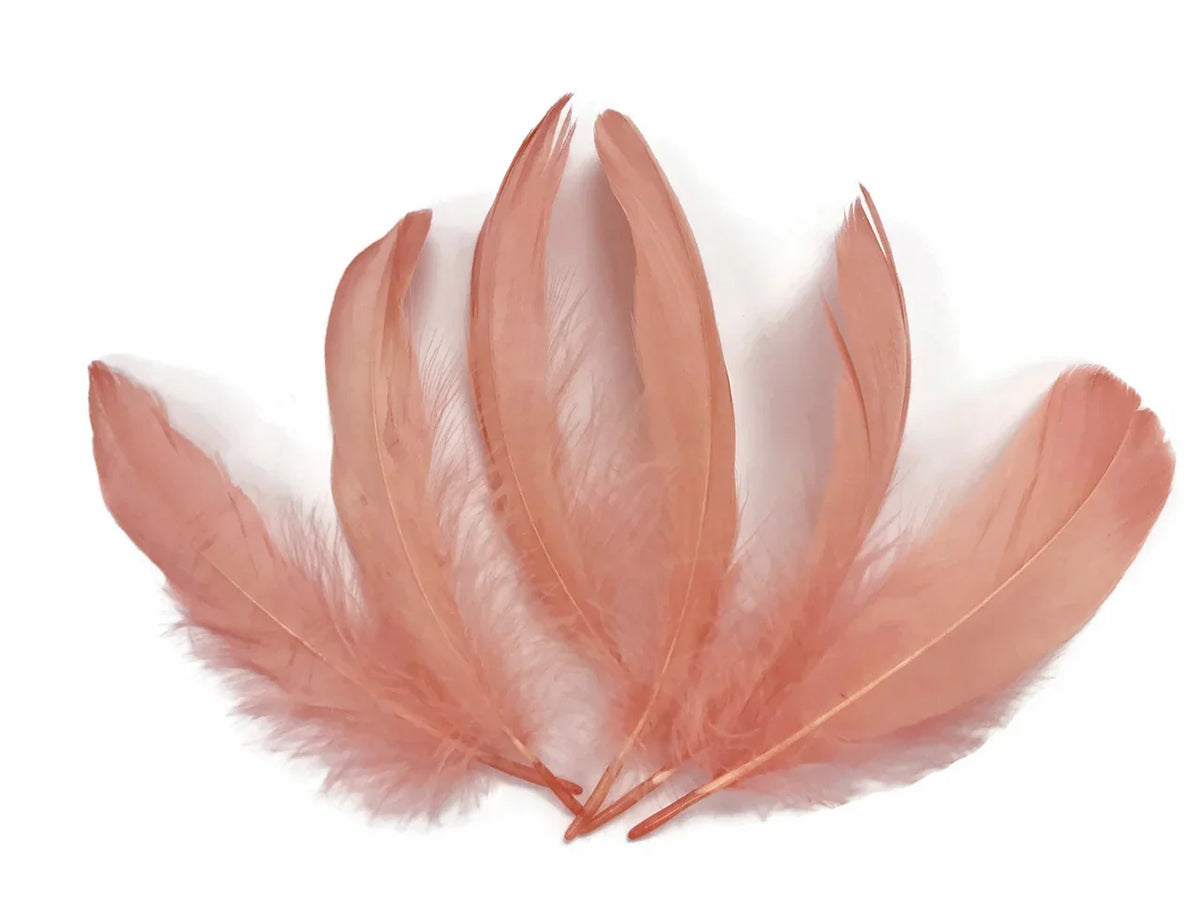Set of soft peach-colored craft feathers arranged in a fan shape on a white background.