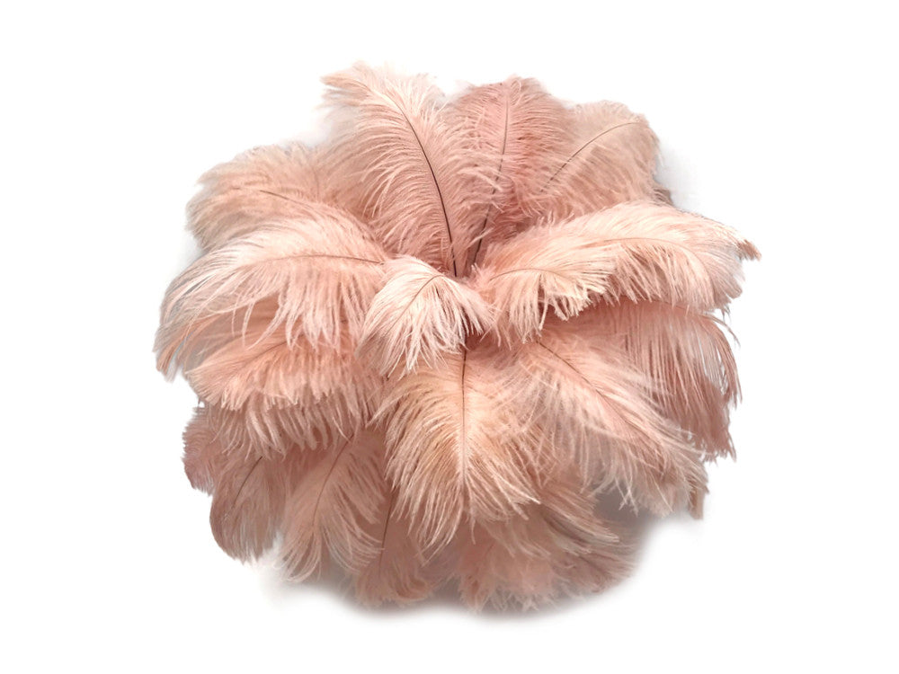 10 Pieces - 14-17" Champagne Ostrich Dyed Drab Large Body Feathers