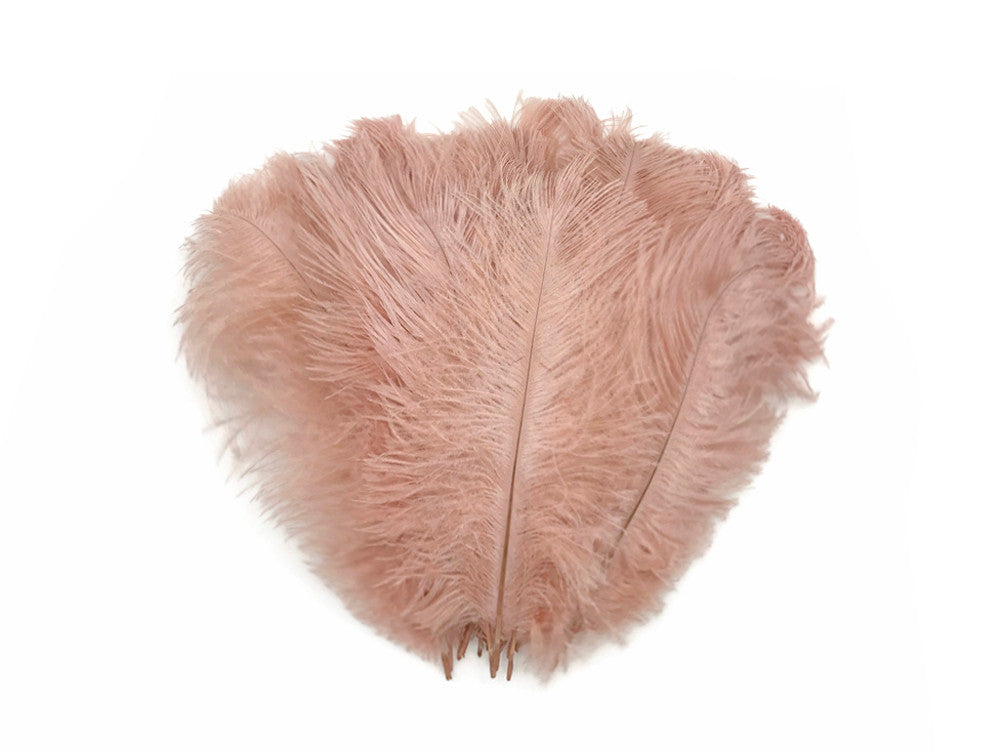 10 Pieces - 14-17" Champagne Ostrich Dyed Drab Large Body Feathers