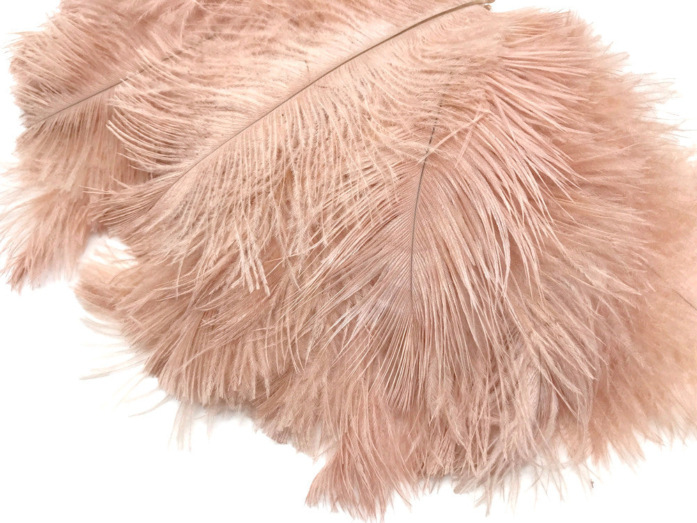 10 Pieces - 14-17" Champagne Ostrich Dyed Drab Large Body Feathers
