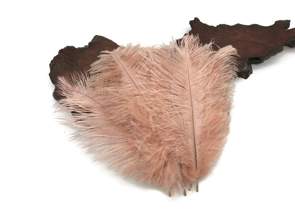 10 Pieces - 14-17" Champagne Ostrich Dyed Drab Large Body Feathers