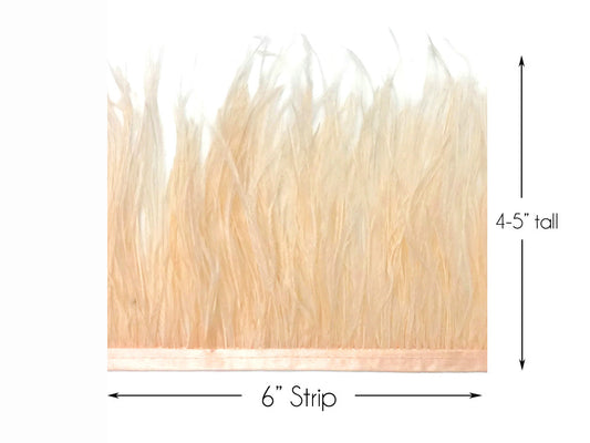 6 Inch Strip - Champagne Ostrich Fringe Trim Feather