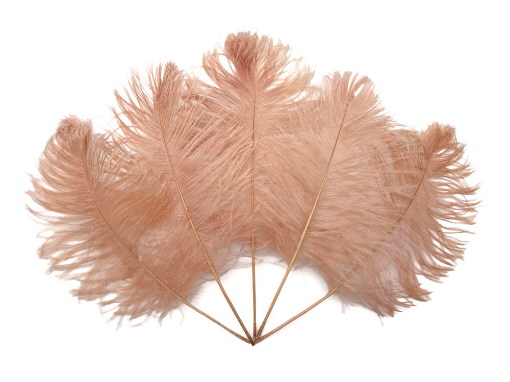 10 Pieces - 12-16" Champagne Dyed Ostrich Tail Fancy Feathers
