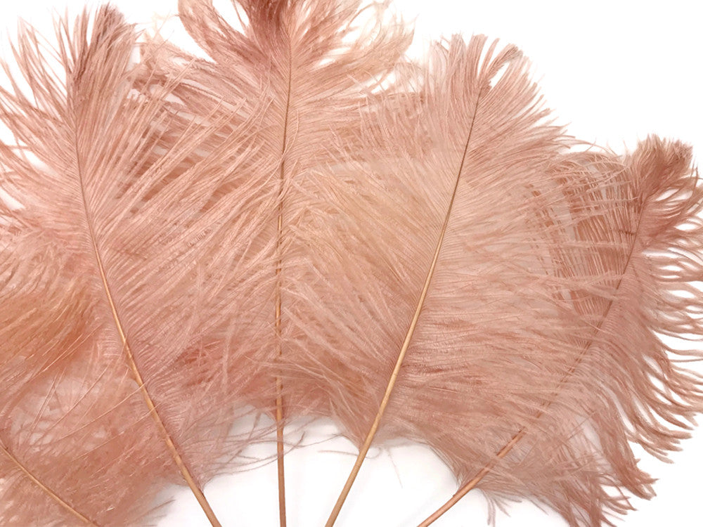 10 Pieces - 12-16" Champagne Dyed Ostrich Tail Fancy Feathers