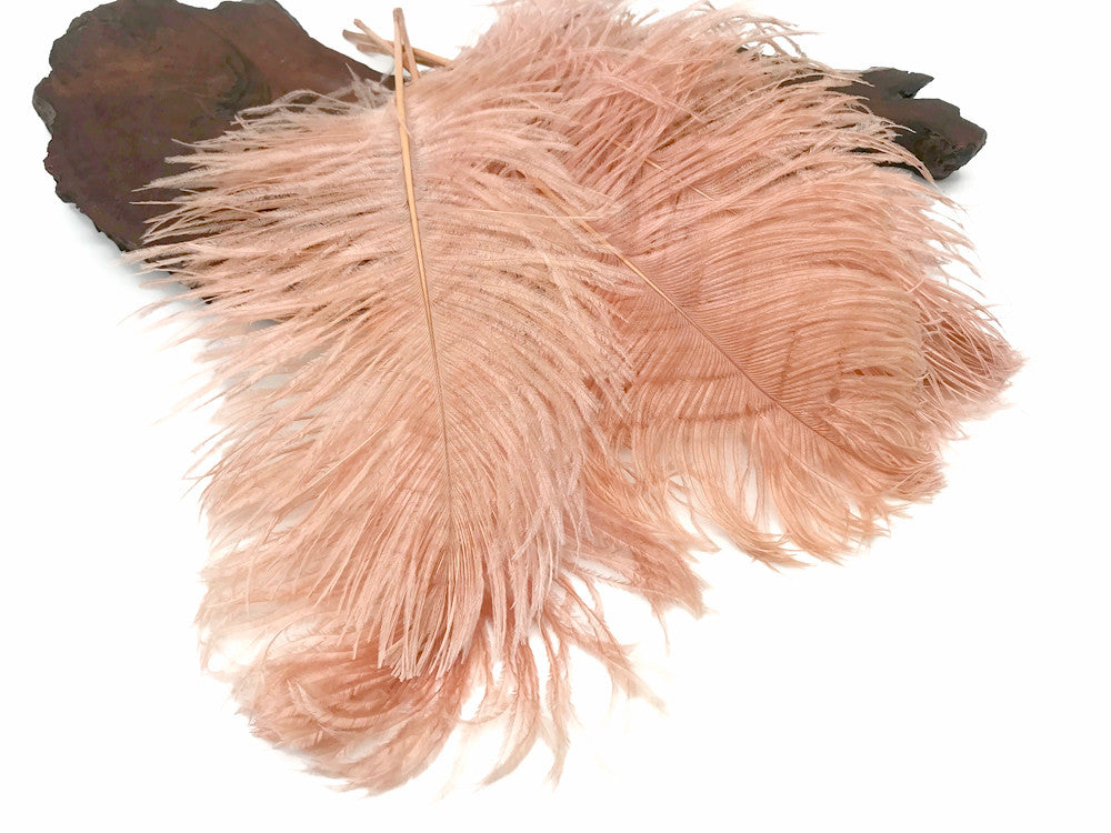 10 Pieces - 12-16" Champagne Dyed Ostrich Tail Fancy Feathers