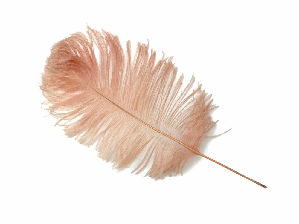 10 Pieces - 12-16" Champagne Dyed Ostrich Tail Fancy Feathers