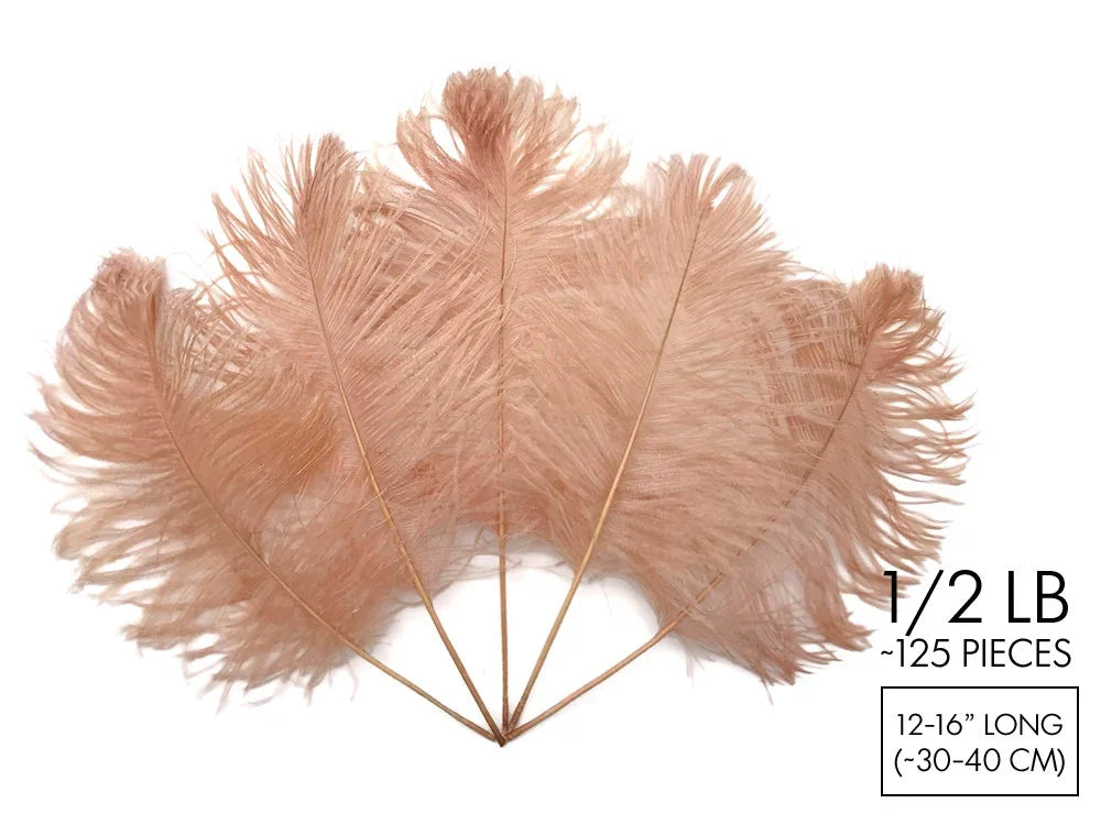 Large peach ostrich feathers for crafts and fashion decor, 12-16 inches long.