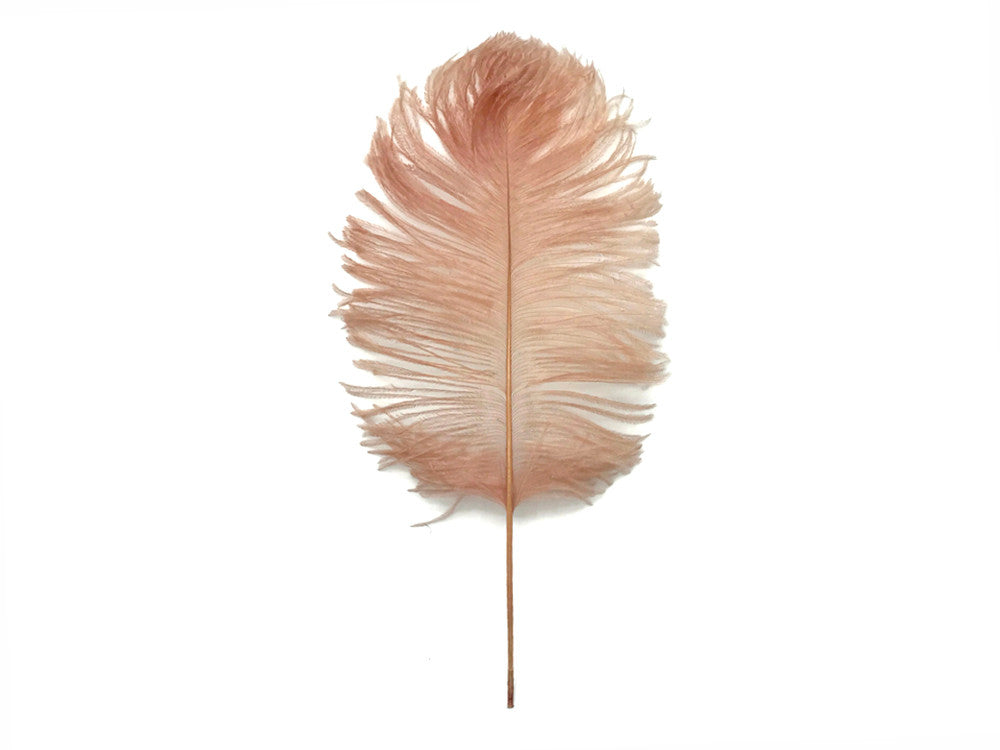 10 Pieces - 12-16" Champagne Dyed Ostrich Tail Fancy Feathers