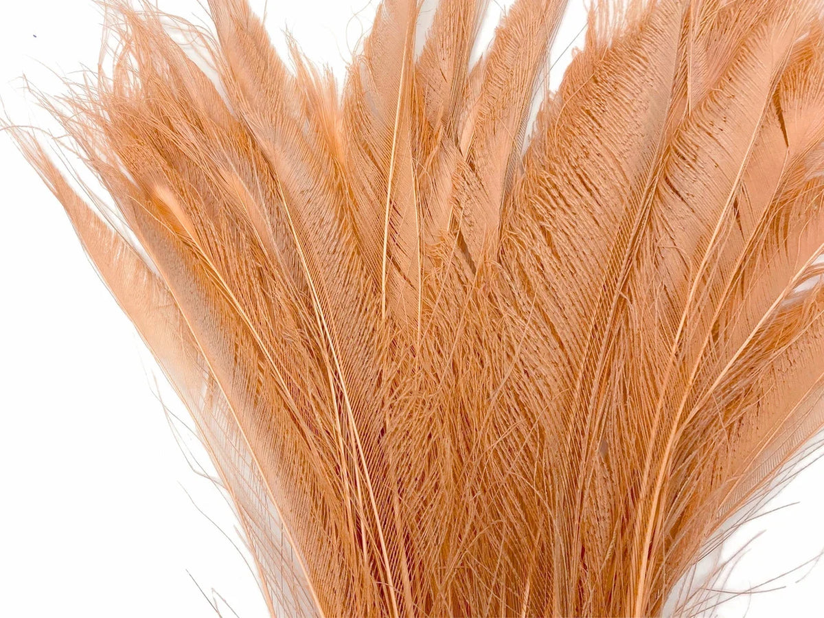 Fluffy peach ostrich feathers for DIY crafts, fashion, and decorative accessories.