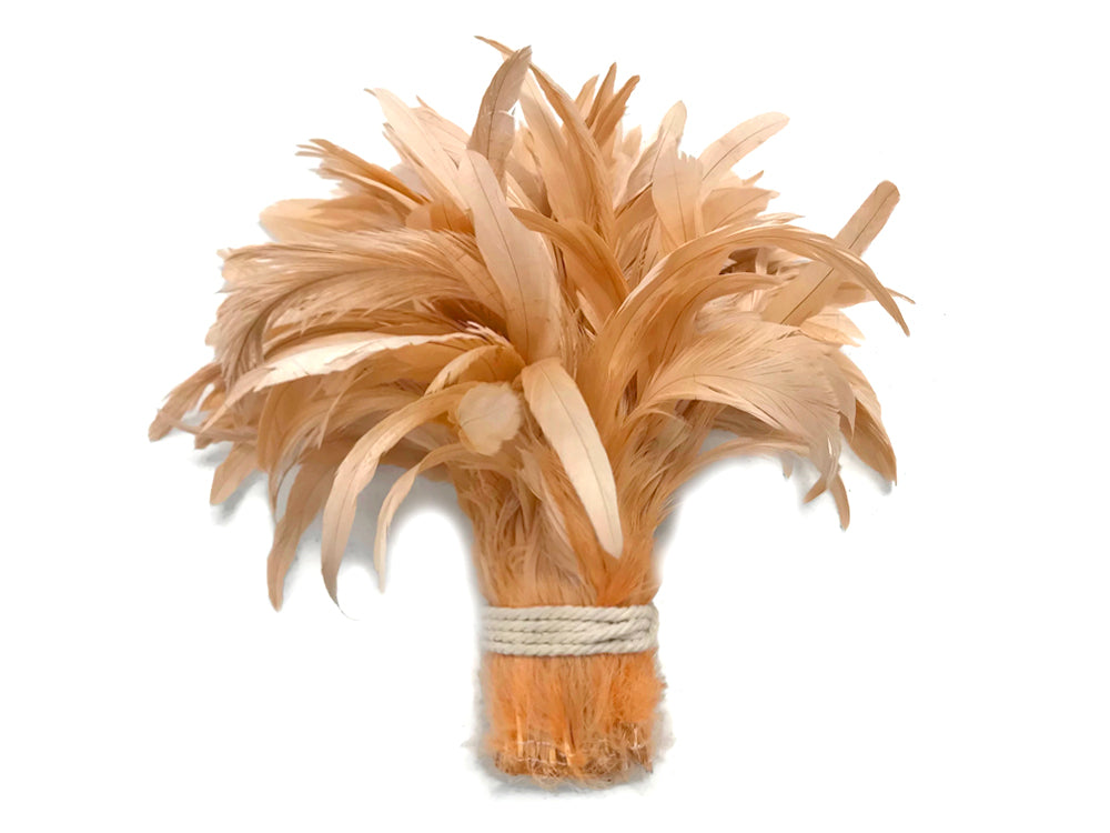 2.5 Inch Strip - 8-10" Champagne Strung Natural Bleach & Dyed Coque Tails Feathers