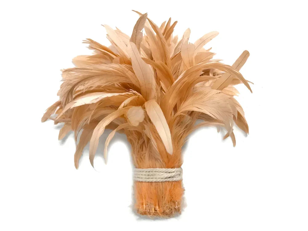 2.5 Inch Strip - 8-10" Champagne Strung Natural Bleach & Dyed Coque Tails Feathers