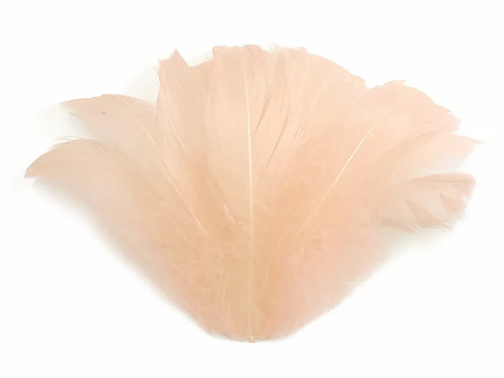 Soft peach-colored decorative craft feather isolated on white background