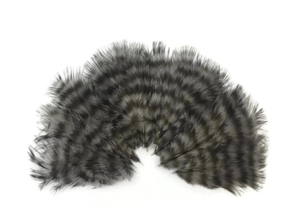 Natural grey and black striped feathers arranged in a semi-circle fan shape.