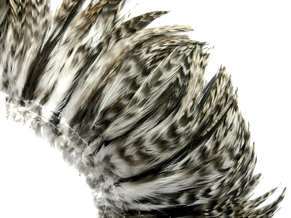 1 Yard - Grey Chinchilla Strung Rooster Neck Hackle Wholesale Feathers (Bulk)