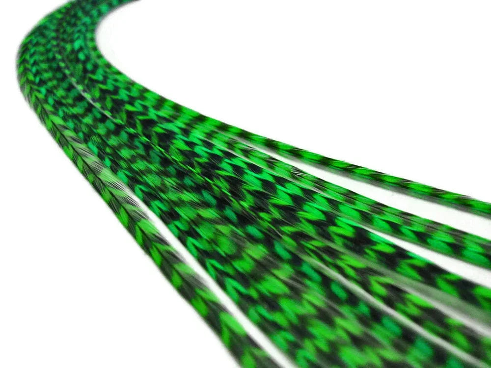 Vibrant green and black patterned feathers for DIY crafts and fashion accessories.