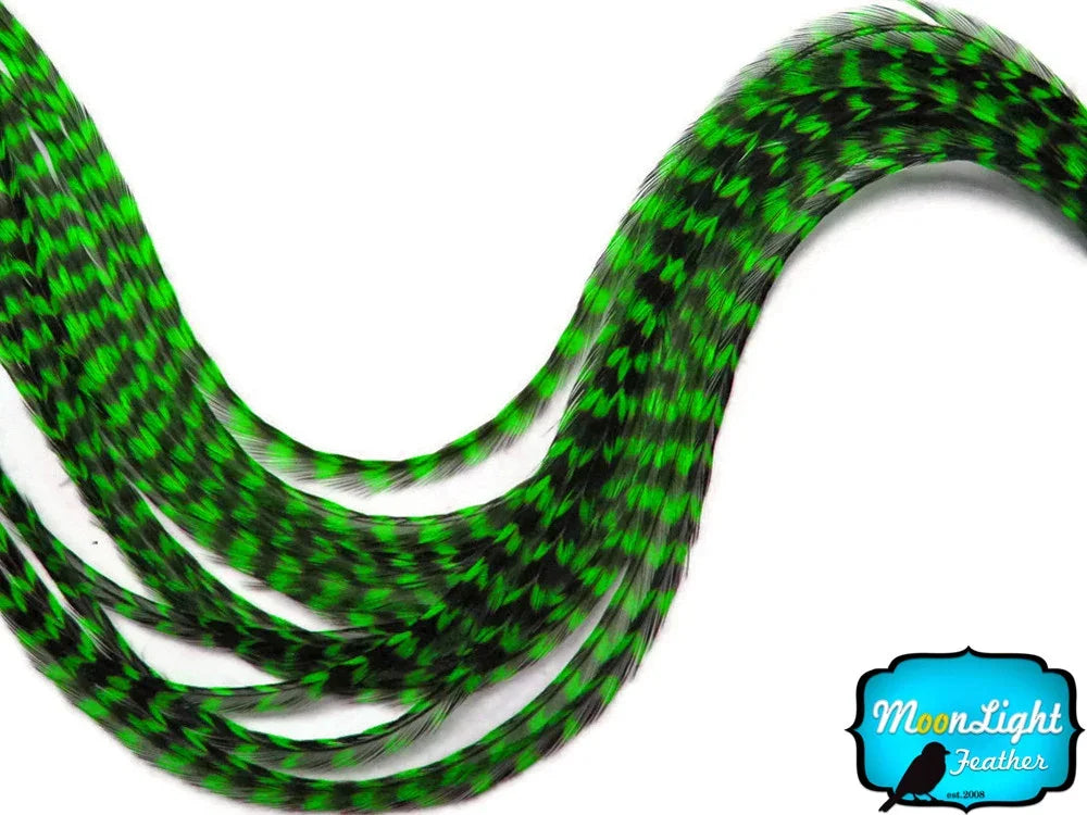 Vibrant green and black patterned feathers for DIY crafts and fashion accessories.