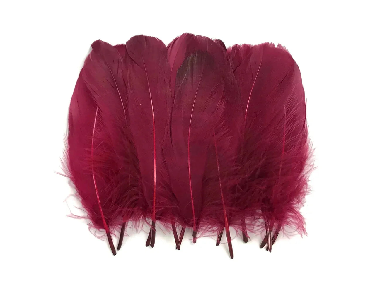 Vibrant burgundy red feathers for DIY crafts and fashion accessories.