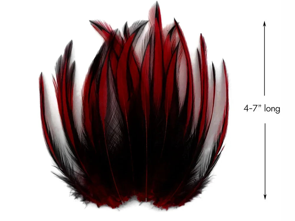 Red and black dyed feathers for crafts and fashion, 4-7 inches long.