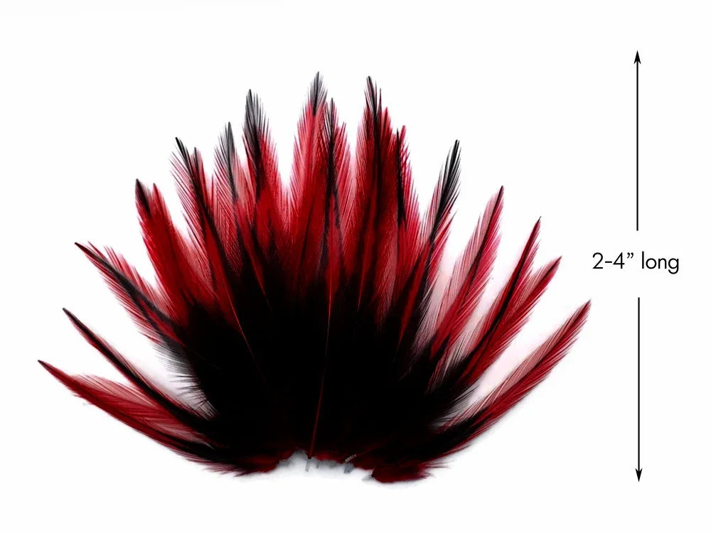 Red and black decorative feathers for crafts, 2-4 inches long.
