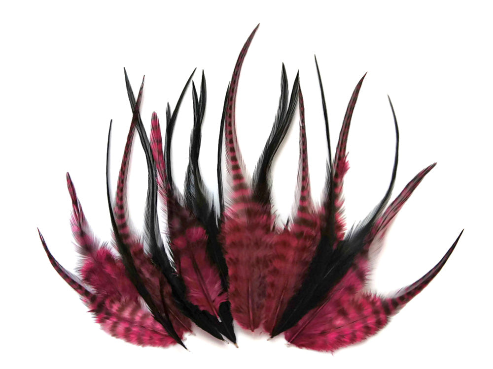 2 Dozen - Short Claret & Black Grizzly Whiting Farms Rooster Hair Extension Feathers