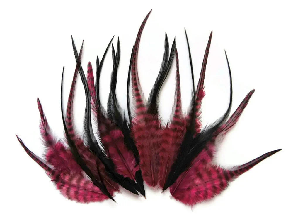 Vibrant magenta and black patterned feathers for craft and fashion DIY supplies.