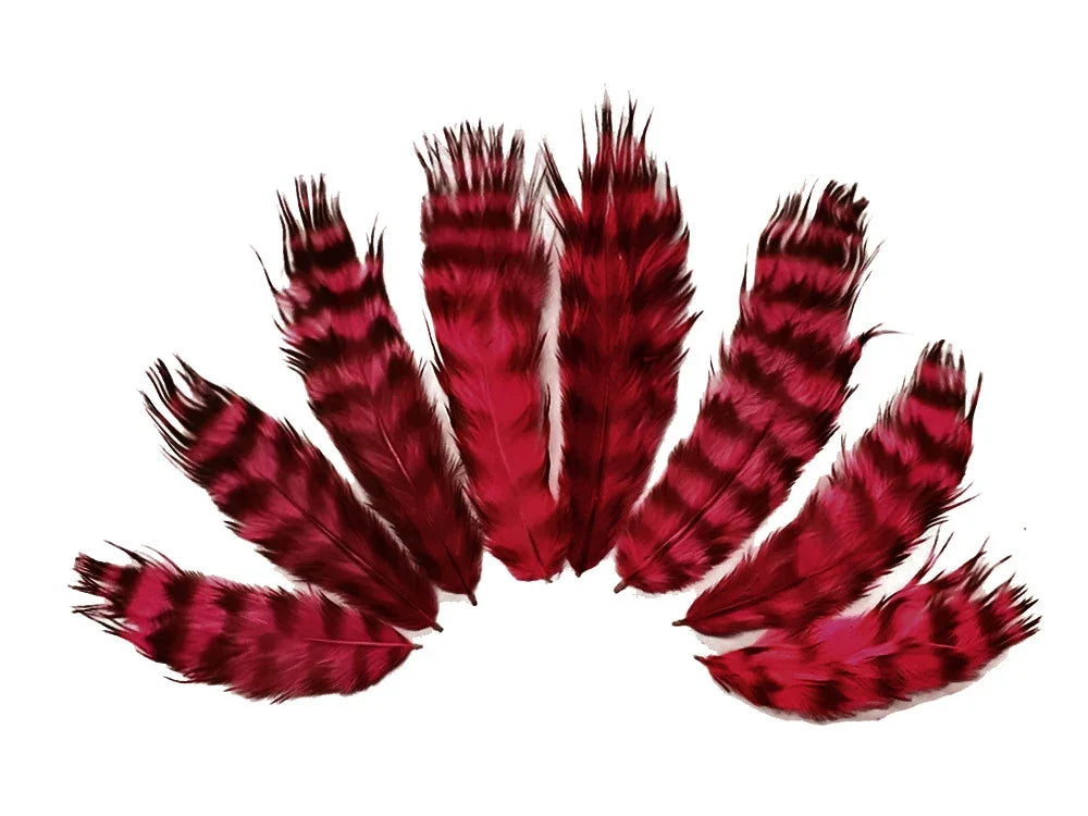 Set of vibrant red and black striped feathers for DIY crafts and fashion décor.