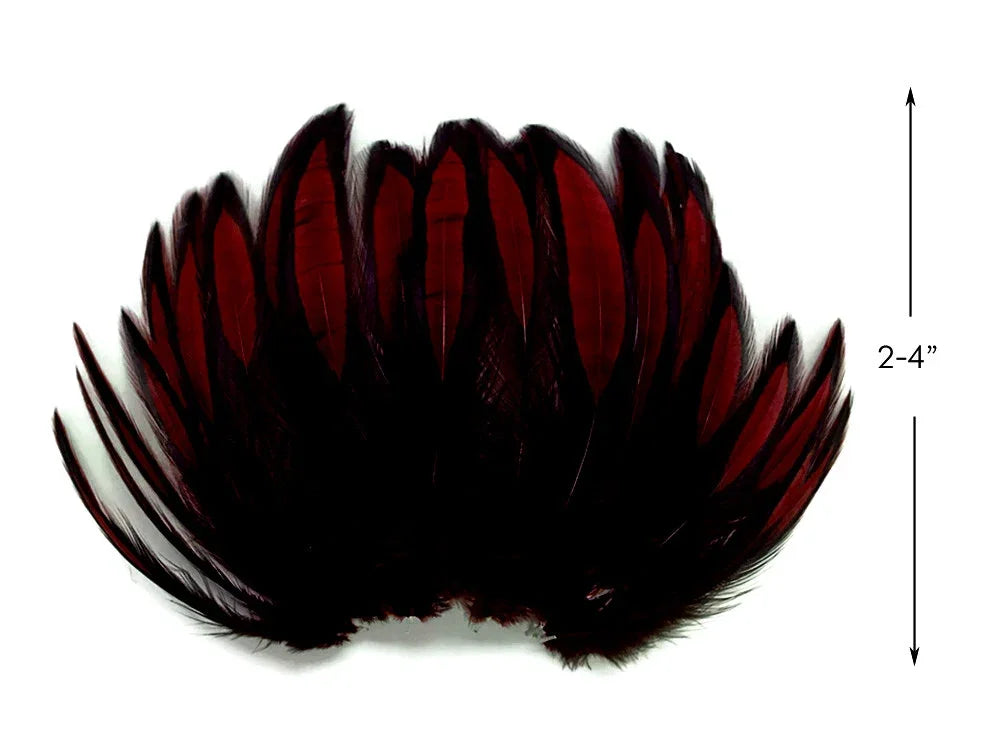 Deep red and black decorative feathers for crafts and fashion, 2-4 inches in length.