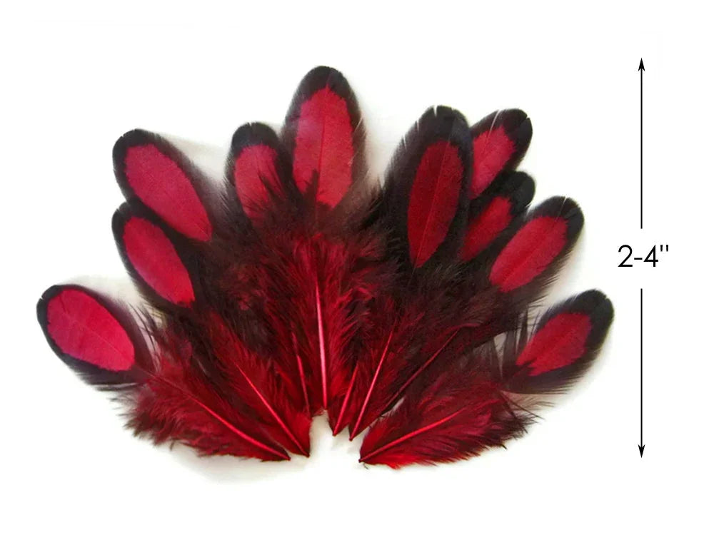 Red and black dyed craft feathers, 2-4 inches for DIY fashion and decor.